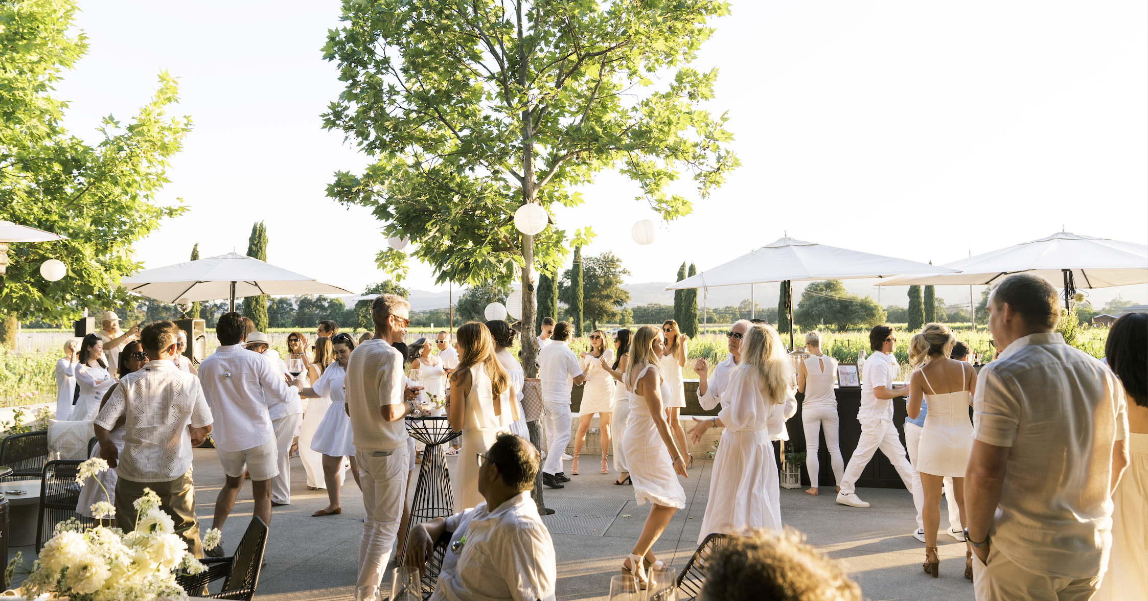 Valley Valet at Clos du Val’s Summer Solstice